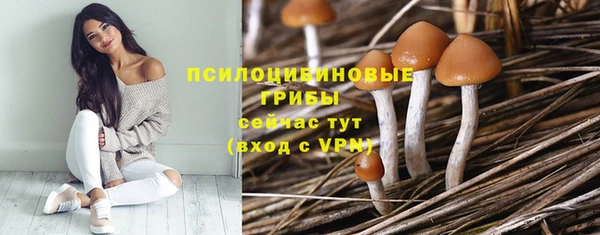 молекула духа Алзамай