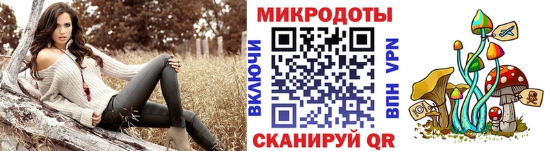 Купить закладки Костерёво Галлюциногенные грибы Psilocybe