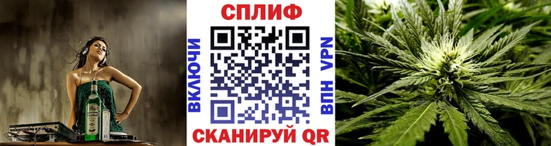 Купить закладки  Костерёво  Бошки Шишки семена 